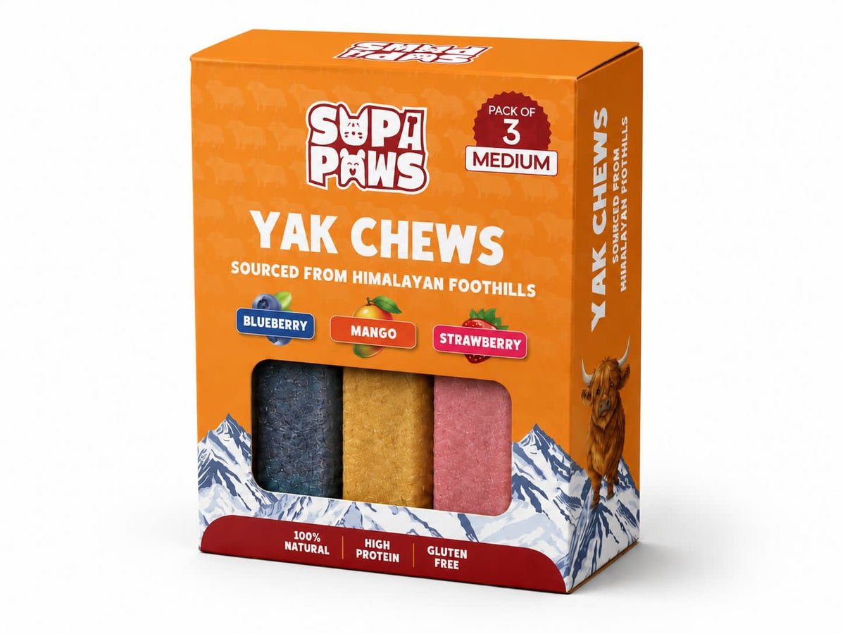 Yak Chews - Blueberry, Mango, Strawberry - Medium (Pack of 3)