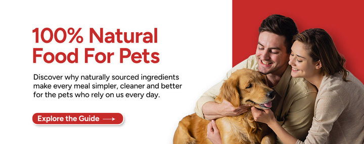 The Science of Dog Nutrition